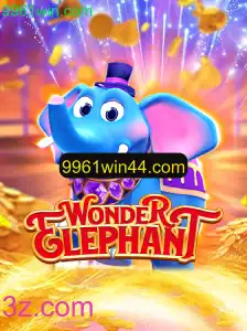 Conheça o Fascinante Mundo de WonderElephant